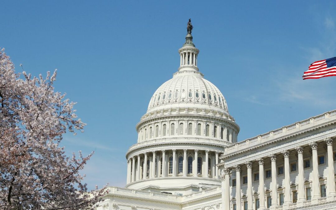 Navigating the Intersection: Communications in the Private Sector Meets Public Affairs in the Public Sector